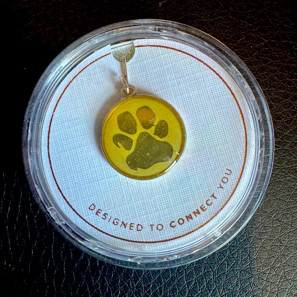 Alex and Ani Paw Print Necklace Charm